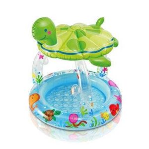 Piscine Tortue