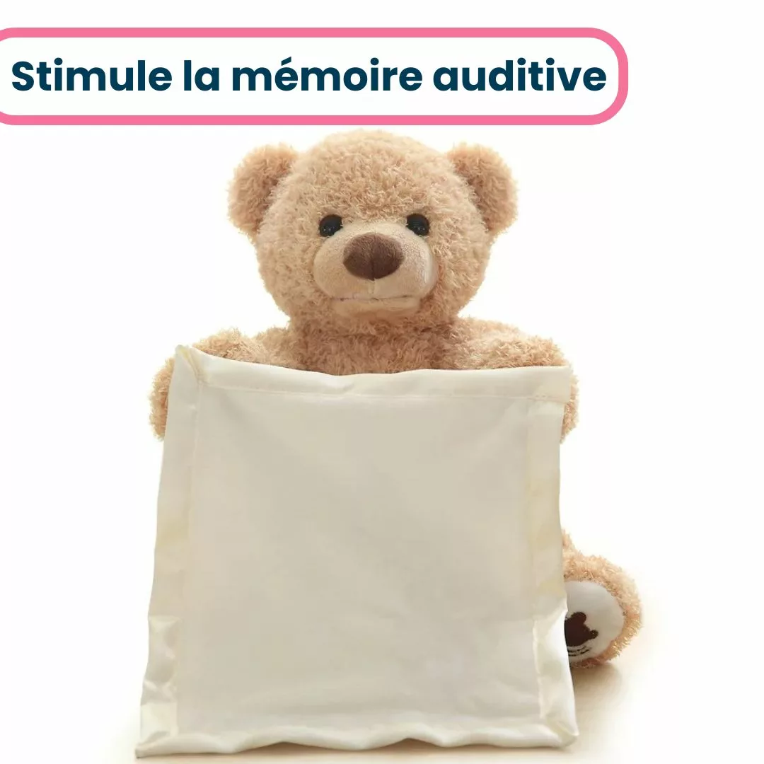 Ours Cache-Cache fait coucou – Image 5
